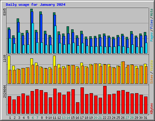 Daily usage for January 2024