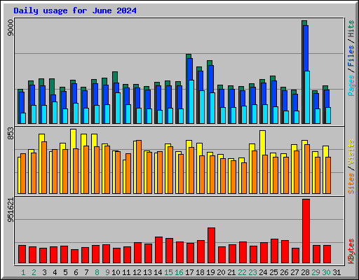 Daily usage for June 2024