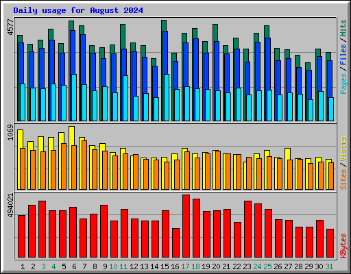 Daily usage for August 2024