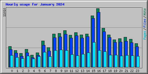 Hourly usage for January 2024