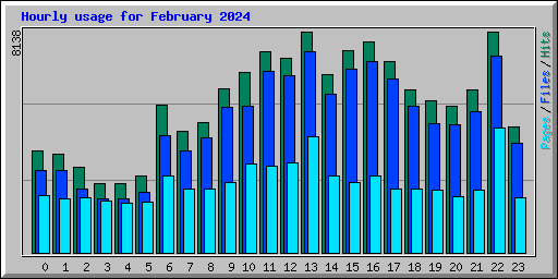 Hourly usage for February 2024