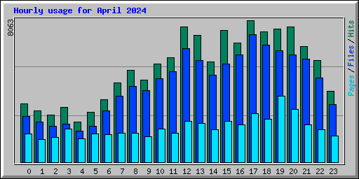 Hourly usage for April 2024