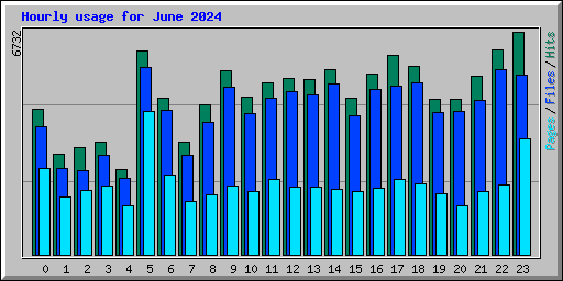 Hourly usage for June 2024