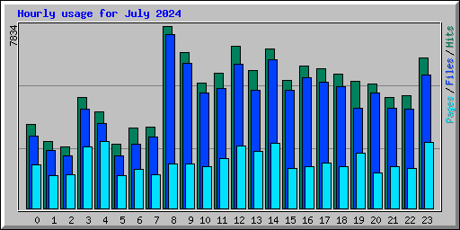 Hourly usage for July 2024