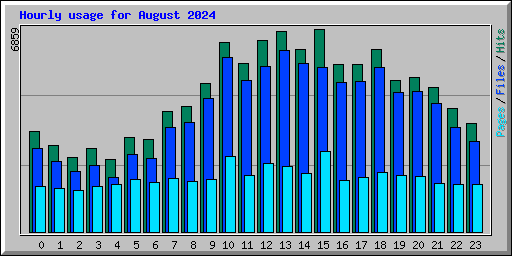 Hourly usage for August 2024