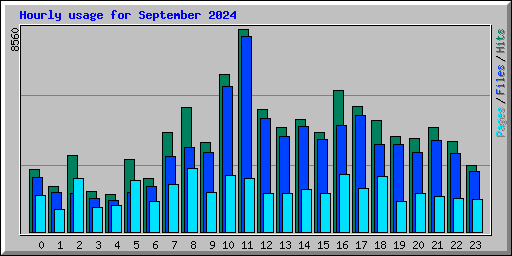 Hourly usage for September 2024