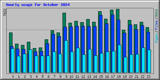 Hourly usage for October 2024