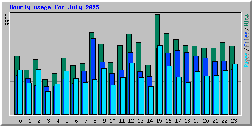Hourly usage for July 2025