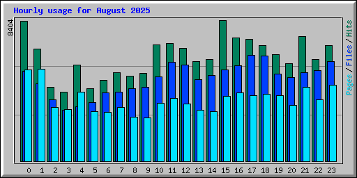 Hourly usage for August 2025