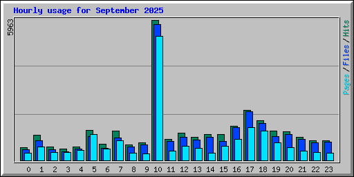 Hourly usage for September 2025