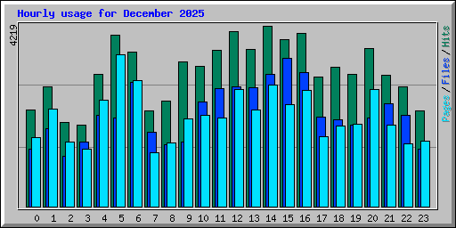 Hourly usage for December 2025