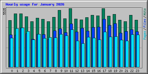 Hourly usage for January 2026